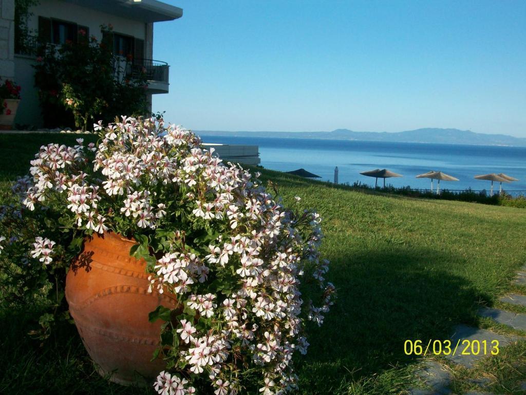 Aegean Blue Studios Afytos Exterior photo
